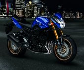 2010 Yamaha FZ8 photo